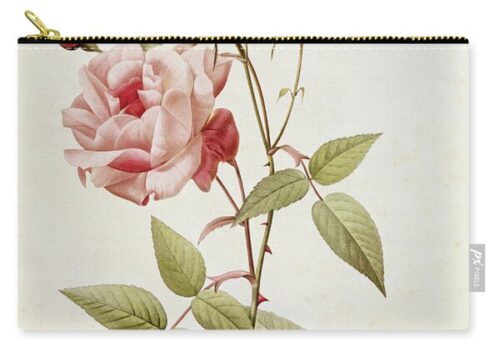 Bridgeman Images Pouches