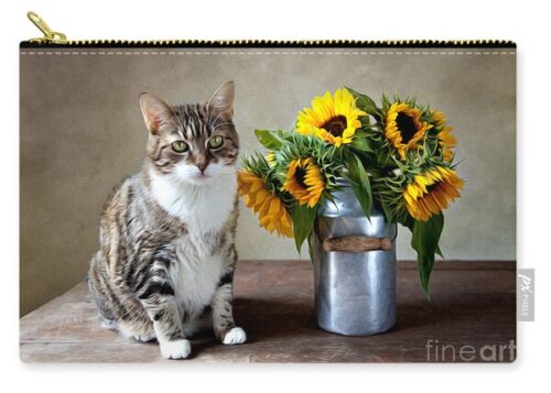 Nailia Schwarz Pouches