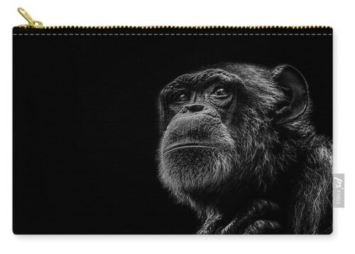 Paul Neville Pouches