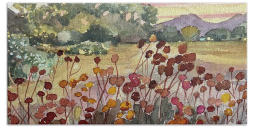 Peter Strauss Ranch Seed Heads Beach Towel