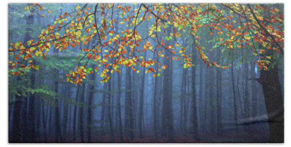 Seconds Before The Light Went Out Beach Towel