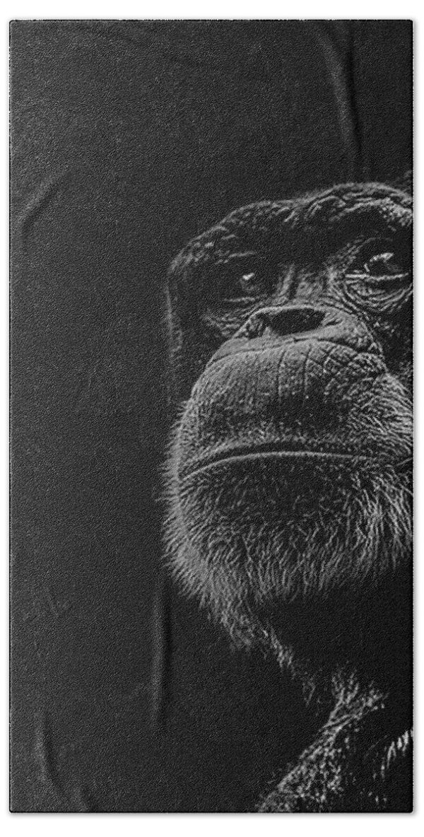 Trepidation Beach Towel