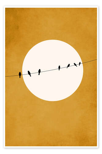 Chirping And Chilling