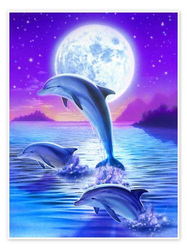 Dolphins at midnight