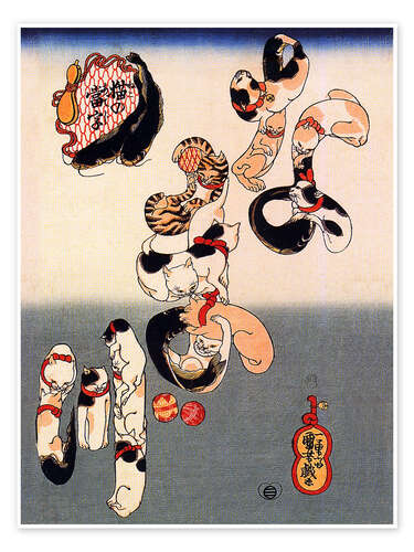 Neko no ateji - catfish