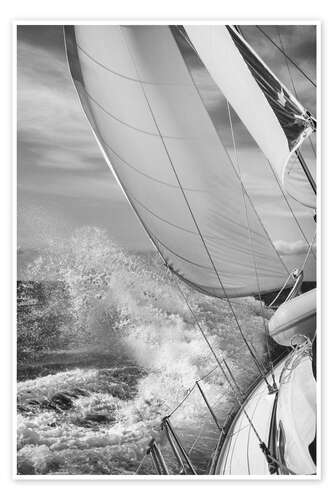 Sailing black / white