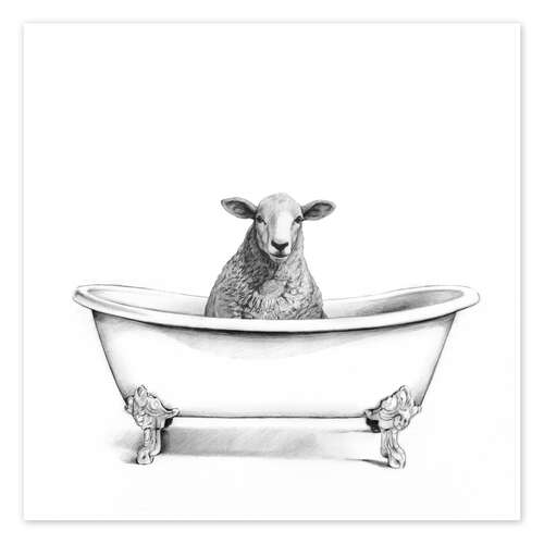 Sheep in the Tub
