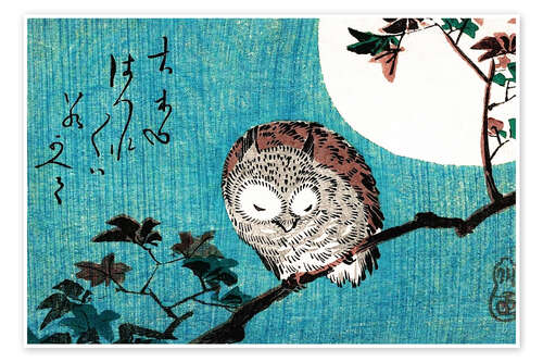 Sleeping owl full moon