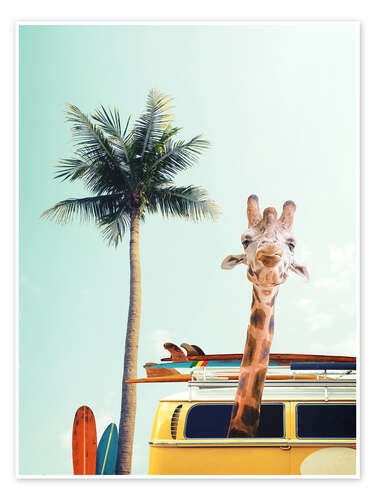Surfer Giraffe