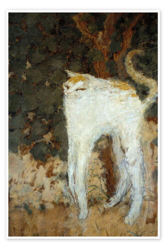 The White Cat, 1894