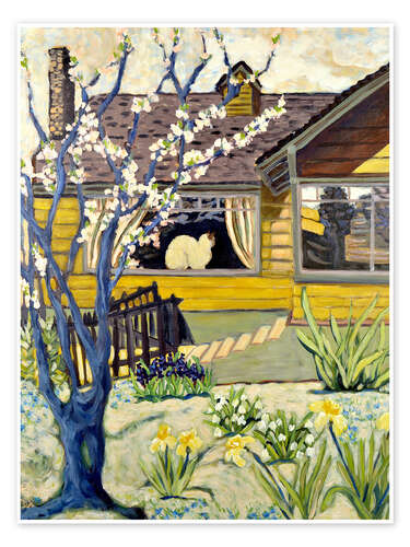 Yellow House With Cat